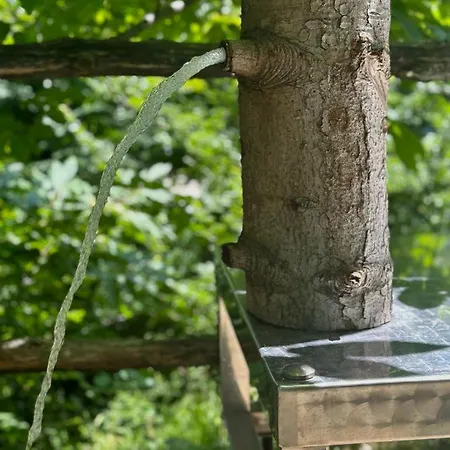 Il Bosco Di Paolo - Glamping Luxusní stan