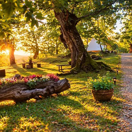 Luxe tent Il Bosco Di Paolo - Glamping