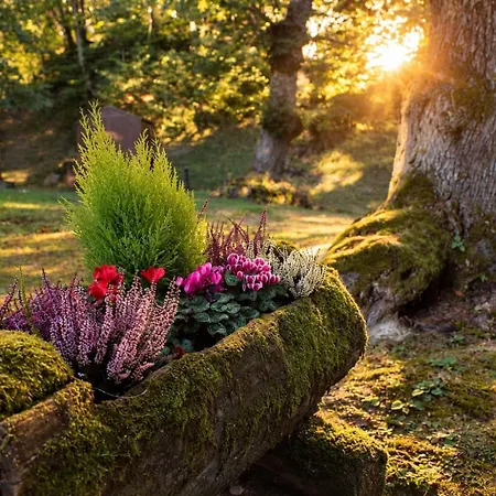 Il Bosco Di Paolo - Glamping Sestola
