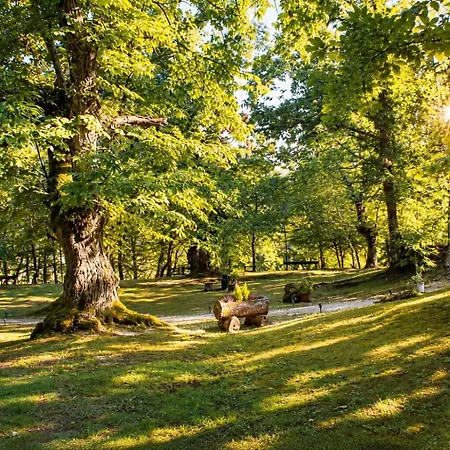 Il Bosco Di Paolo - Glamping *