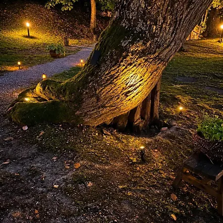 Il Bosco Di Paolo - Glamping Luxe tent Sestola