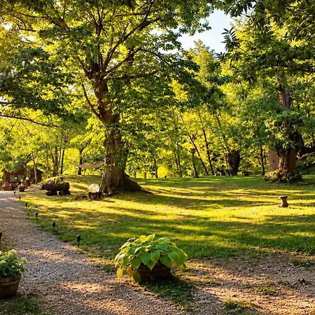 Il Bosco Di Paolo - Glamping