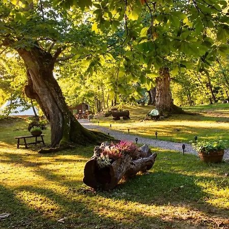 Il Bosco Di Paolo - Glamping